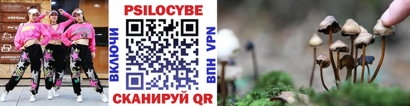 MEGA ссылка  магазин продажи   Высоковск  Псилоцибиновые грибы мухоморы 